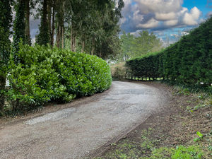 Photo 50- click for photo gallery